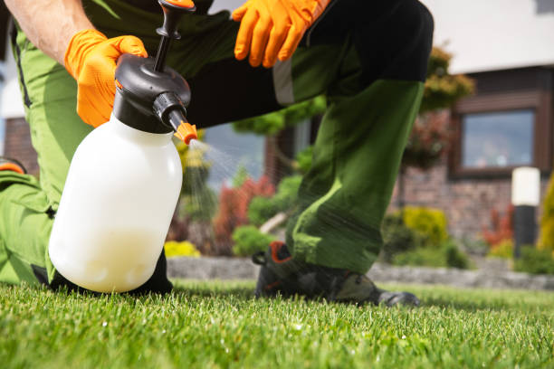 Best Organic or Eco-Friendly Pest Control  in Sherrill, NY